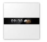 Nutikas seade AQARA SMART HOME DISPLAY SWITCH V1/WS-K02D