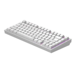 Arvuti klaviatuur dark project Terra Nostra R2, G3MS Moonstone Switch, US White