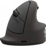 Arvutihiir Fellowes MOUSE USB OPTICAL WRL VERTICAL/ERGO+ M L 100143583