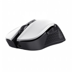 Arvutihiir Trust MOUSE USB OPTICAL WRL YBAR/GTX923W 24889