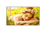 Monitorid LG  DISPLAY LCD 75" 4K/75UL5Q-M