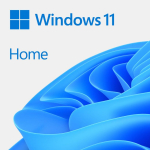 Muu arvutitarvik Microsoft  KW9-00664 Win Home 11 64-bit All Lng 1pk DSP OEI DVD
