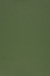 Kaitsekile Evelatus Universal Universal Color Shinning Film for Screen Cutter Army Green