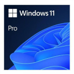 Server &ndash; muud tarvikud Microsoft  Win 11 Pro 64Bit Eng Intl 1pk DSP OEI DVD