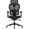 Arvutitoolid / lauad Canyon CANYON gaming chair Ventra MOCH01 Mesh Black