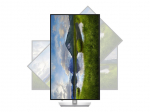 Monitorid Dell P3225QE | 32 " | IPS | 4K UHD | 16:9 | 100 Hz | 5 ms | 3840 x 2160 pixels | 350 cd/m&sup2; | HDMI ports quantity 1 | Warranty 60 month(s)