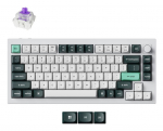 Arvuti klaviatuur Keychron KEYBOARD WRL Q1 HE RGB/SHELL WHITE Q1H-P1