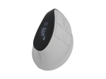 Arvutihiir Natec  Mouse | Euphonie Pro | Wireless | 2.4 GHz, Bluetooth | White