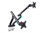 Teleri kinnitus Digitus Desk Mount | Tilt, rotation, pivot | Dual design monitor mount, 2x 35", 2x 10 kg | 35 " | Maximum weight (capacity) 20 kg | Black