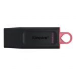 M&auml;lupulk Kingston MEMORY DRIVE FLASH USB3.2/256GB DTX/256GB