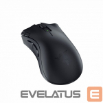 Arvutihiir Razer Razer DeathAdder V2 X HyperSpeed Mouse (RZ01-04130100-R3G1)