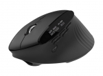 Arvutihiir Acer Smart Fit Vertical Mouse, retail pack