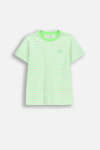 COCCODRILLO short sleeved t-shirt, green, WC6143232VBA-011-104, 104 size