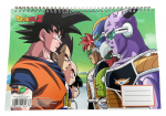 DRAGON BALL visandivihik, 377-60413