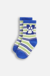 COCCODRILLO sokid SOCKS BOY, v&auml;rviline, cm