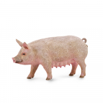 COLLECTA emis (M), 88863