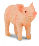 COLLECTA (S) Nuuskiv p&otilde;rsas 88344