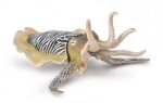 COLLECTA mereelukas Common Cuttlefish (XL), 80009