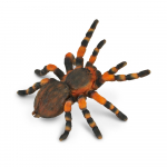 COLLECTA punaste p&otilde;lvega Mehhiko Tarantula, (L), 88338