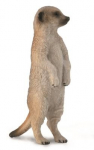 COLLECTA Surikaat (S) 88913