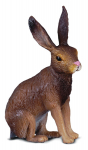 COLLECTA (S) Pruunj&auml;nes 88012