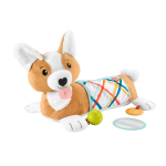 FISHER-PRICE kutsika k&otilde;hupadi