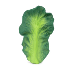 Oli&Carol n&auml;rimisr&otilde;ngas Kendall the Kale, 0+