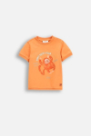COCCODRILLO l&uuml;hikeste varrukatega s&auml;rk SAGE TIME BOY NEWBORN, oranž, WC5143201SBN-006-086, 86 cm