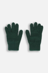 COCCODRILLO gloves ACCESSORIES WINTER BOY, rohelised, ZC4360306AWB-011-XXL, XXL cm