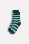 COCCODRILLO sokid SOCKS BOY, v&auml;rviline, cm