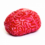 Squidgy Brain pigistatav m&auml;nguasi, NV459