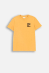 COCCODRILLO t-shirt FOREST FRIENDS JUNIOR, honey, ZC4143203FBJ-026-164, 164 cm