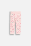 COCCODRILLO retuusid UNDERWEAR SPECIAL GIRL, roosa, WC5403402USG-033-086, 86 cm