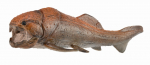 COLLECTA figuur dunkleosteus liigutatava l&otilde;uaga, 88817
