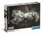 CLEMENTONI pusle kassipoeg, 1000 tk, 39950