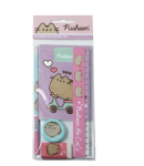 PUSHEEN THE CAT kirjatarvete komplekt, 361-02755