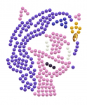 DIAMOND DOTS loominguline komplekt teemantmaal My Little Pony, DTZ10.009