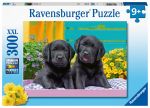RAVENSBURGER pusle Puppy Life, 300tk, 12950