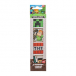 PAW PATROL kustukummide komplekt, 4 tk, 166507104