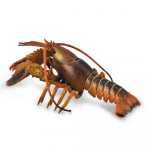 COLLECTA homaar, Deluxe, 88920