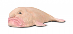 COLLECTA figuur Blobfish, 80037