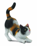 COLLECTA (S) kolmev&auml;rviline kass ringutamas, 88491