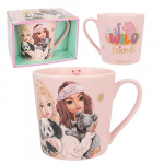 TOPMODEL tass, 12906