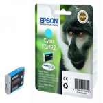 Epson T0892 C13T08924010 C tindikassett