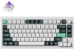 Keychron Q1 HE 75% traadita mehaaniline klaviatuur (Q1H-P1)