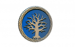 Frosthaven Challenge Coin