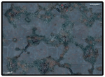 UP - Warhammer 40,000 - Killzone: Volkus A Battle Mat