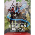 Dungeons & Dragons Forgotten Realms: Heroes of Faerun Book