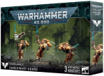 Warhammer 40,000 - Blood Angels: Sanguinary Guard