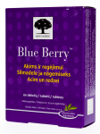 NEW NORDIC BLUE BERRY (MUSTIKA) TBL N60